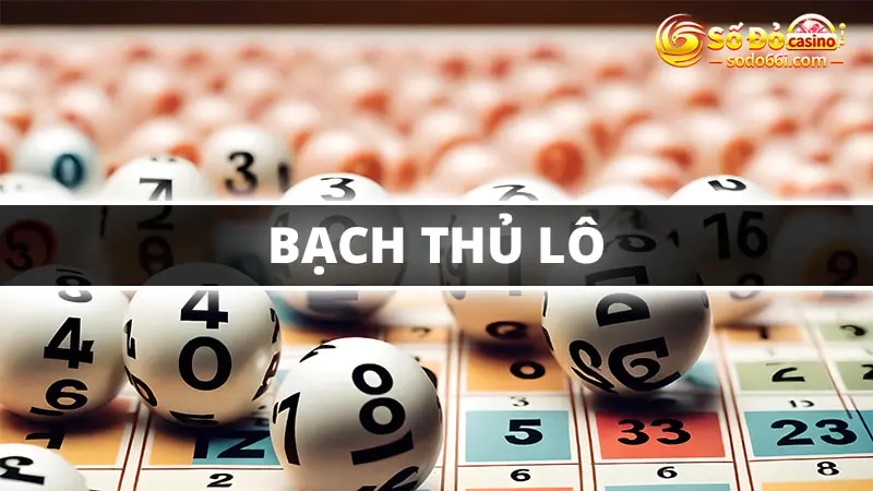 Bạch thủ lô Sodo66