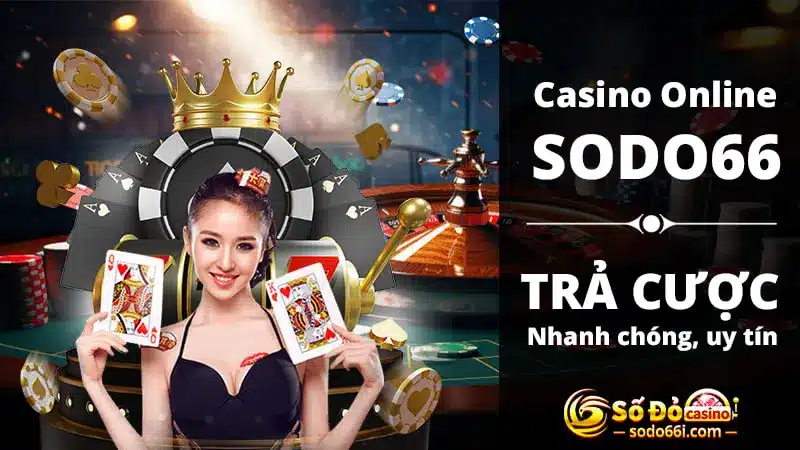 Trả cược nhanh chóng, uy tín