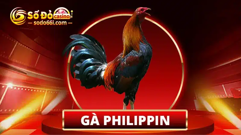 Giống gà Philippines